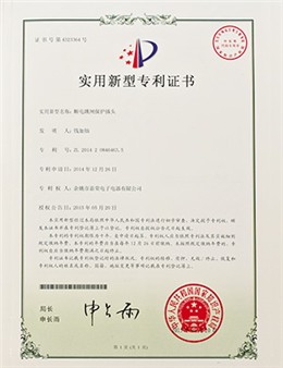 断电跳闸保护插头证书